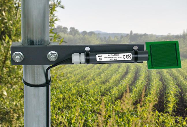 葉片濕度傳感器S-LWA-M003高精度樹(shù)葉草葉濕度智能探頭