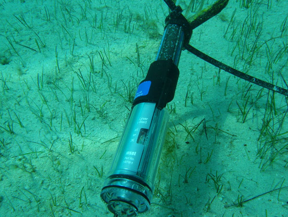 HOBO水溫度記錄儀應用在沿海水下環境監測成功案例